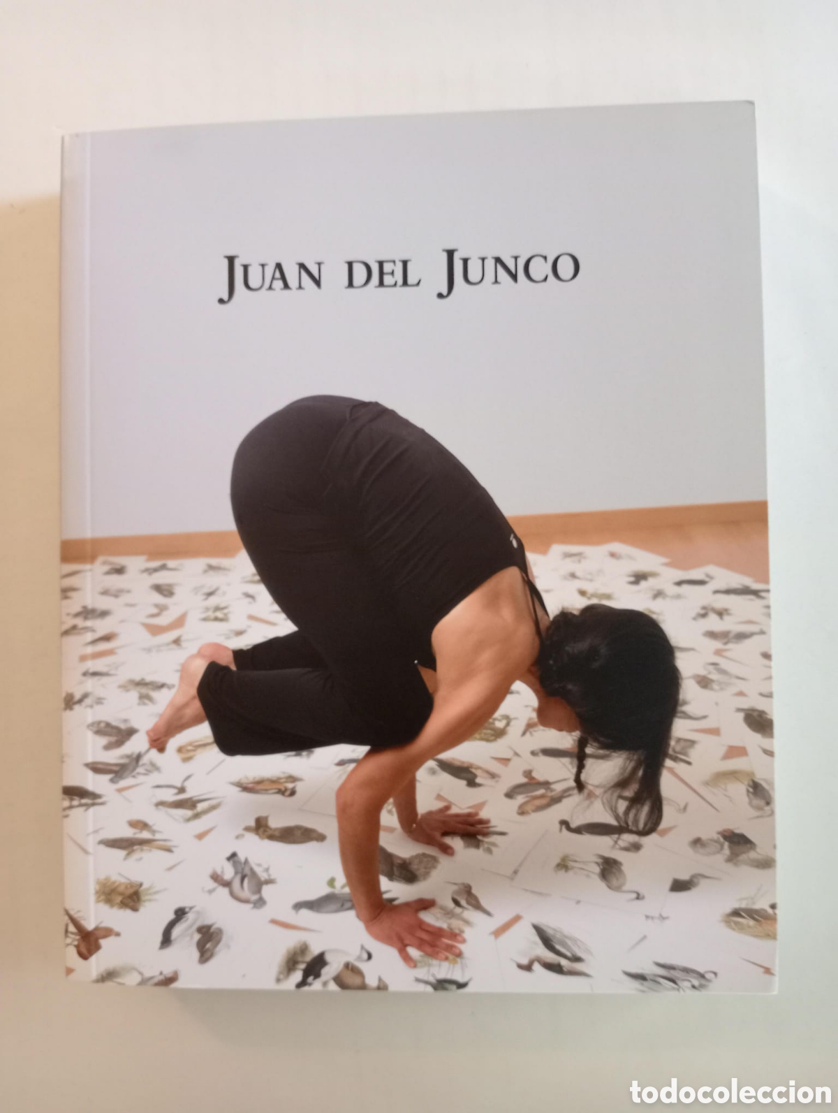 Arte: Juan del Junco. Cat&aacute;logo. Colecci&oacute;n el ojo que ves, 4. Ayuntamiento de C&oacute;rdoba