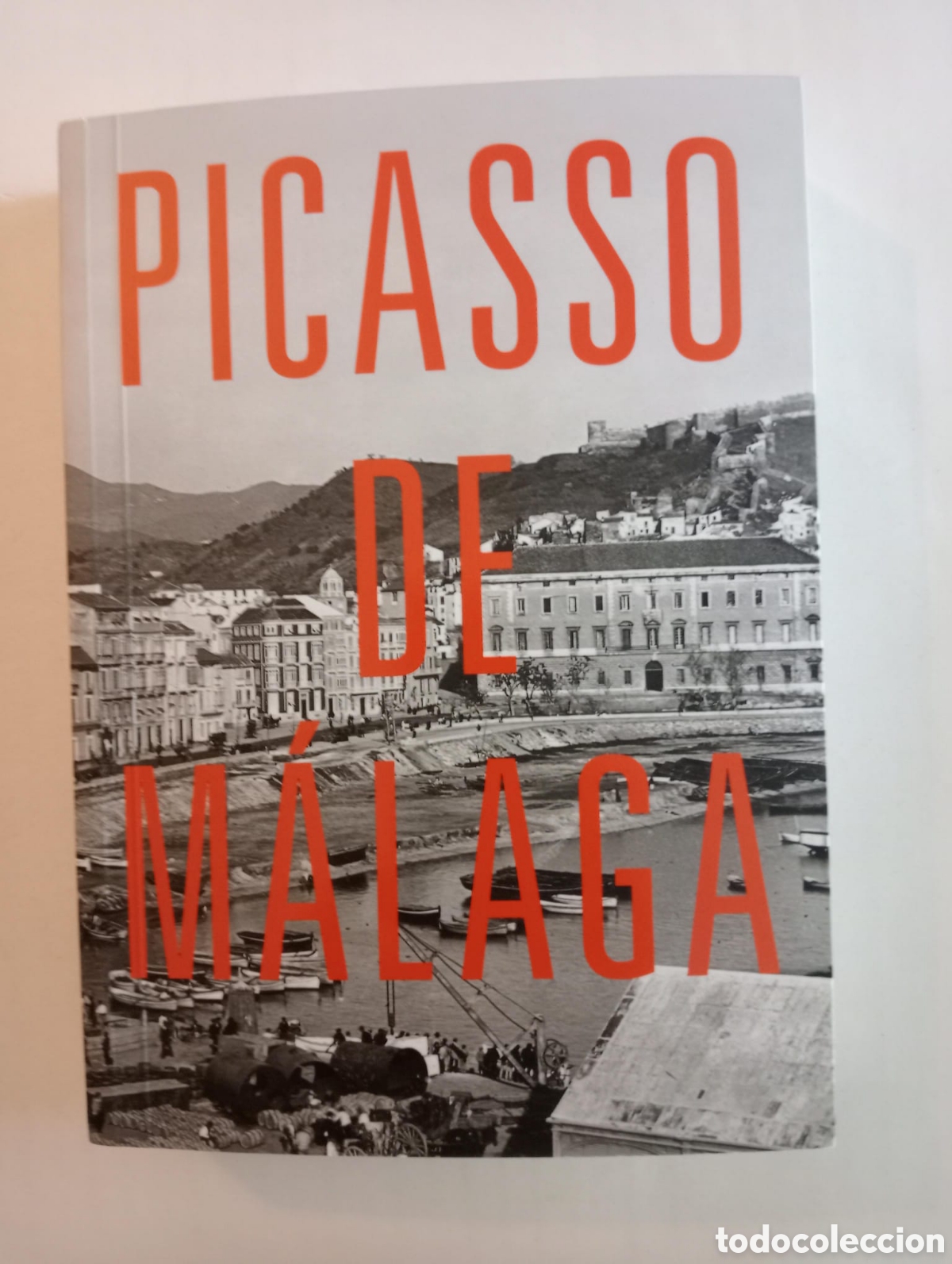 Arte: Picasso de M&aacute;laga. Museo Picasso M&aacute;laga, 2013