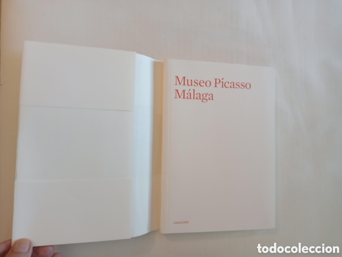 Arte: Museo Picasso de M&aacute;laga. Colecci&oacute;n. 2010. - Foto 2