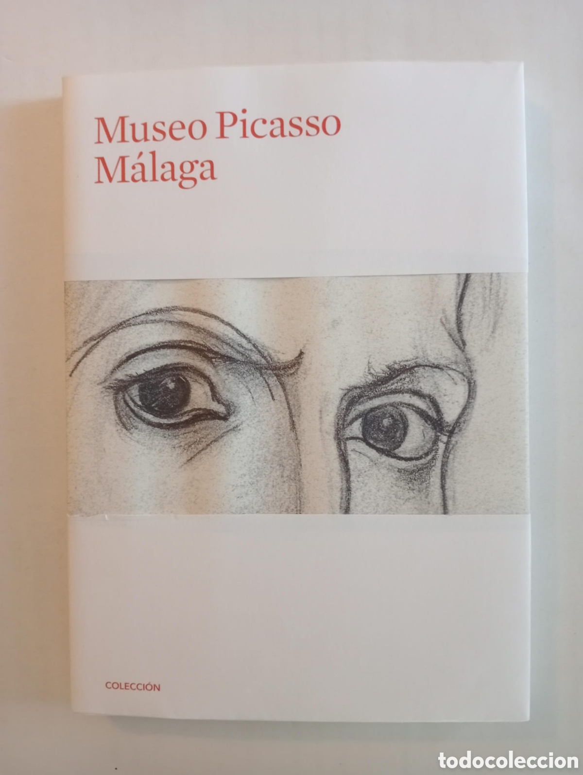 Arte: Museo Picasso de M&aacute;laga. Colecci&oacute;n. 2010. - Foto 1