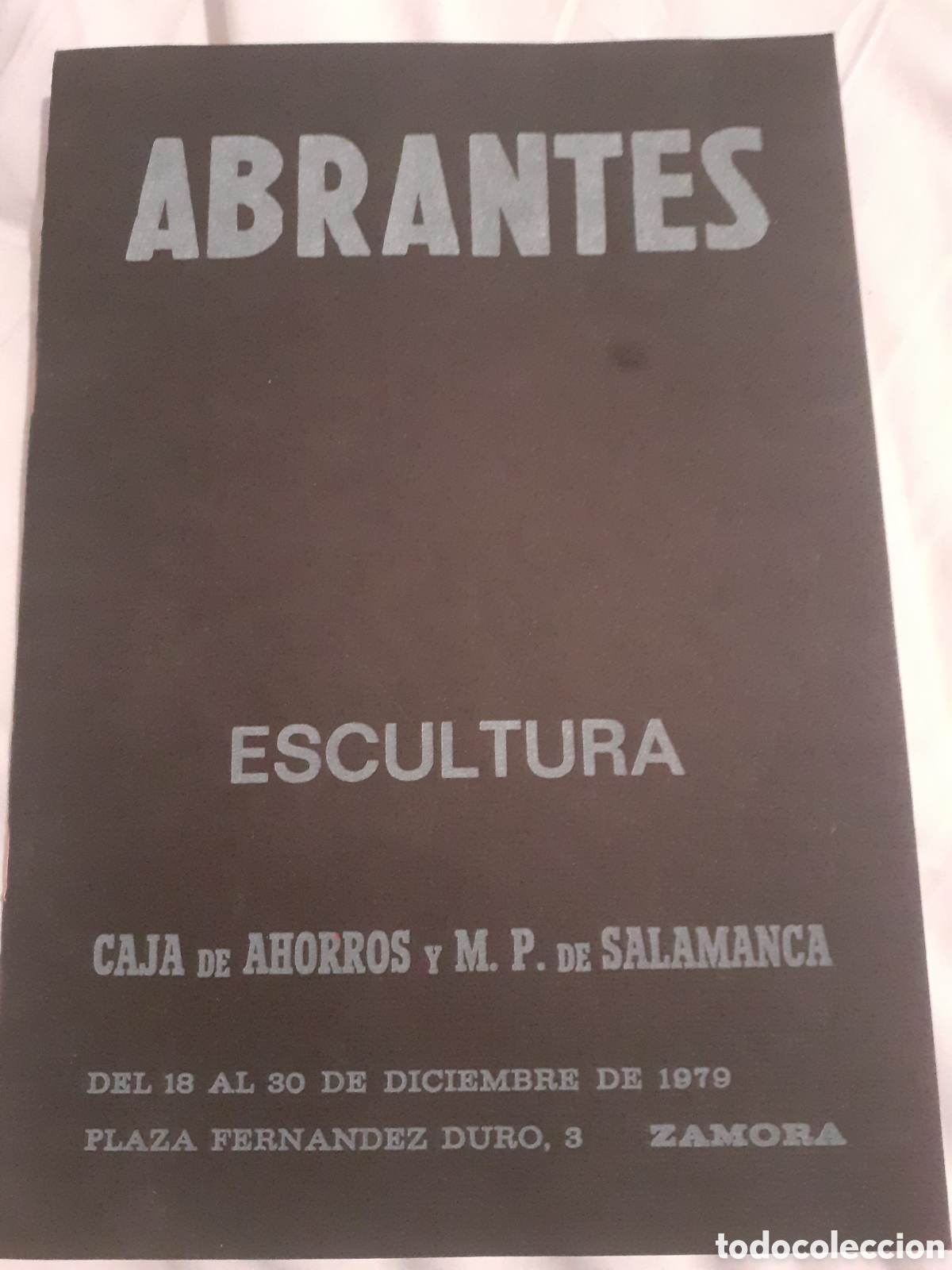 Arte: CATALOGO EXPOSICION RAMON ABRANTES. ZAMORA. 1979. 16 P&Aacute;GINAS