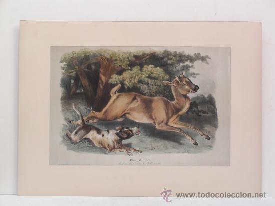 Arte: (La caza del corzo) - Foto 2