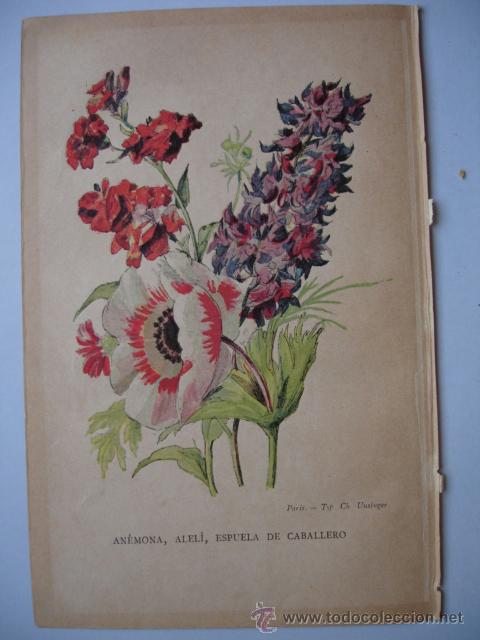 ,espuela de  - Buy Antique  chromolithographs on todocoleccion