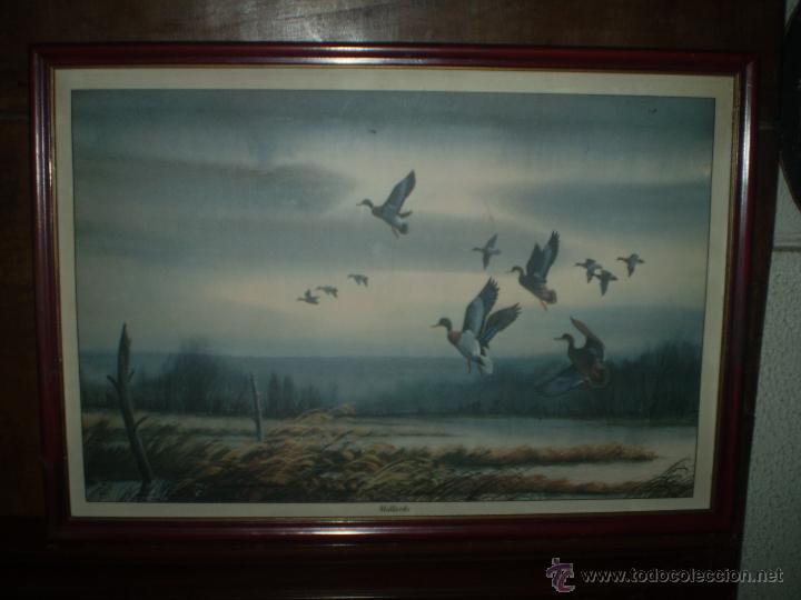 Arte: CROMOGRAFIA DE PATOS MALLARDS - Foto 1