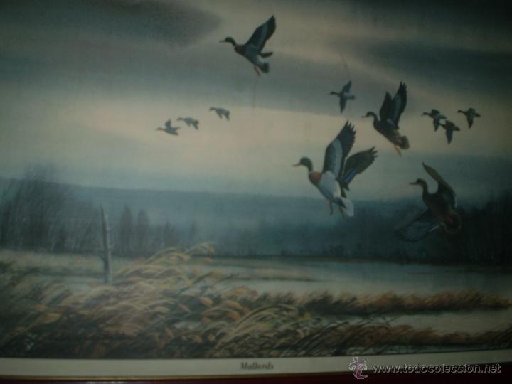 Arte: CROMOGRAFIA DE PATOS MALLARDS - Foto 2