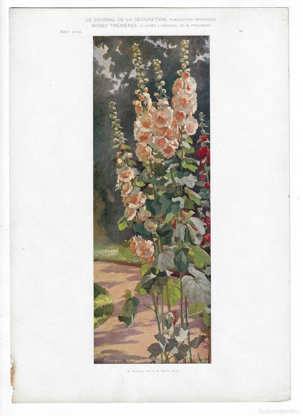 Art: JOURNAL DE LA DECORATION A&Ntilde;O XIX L&Aacute;M. 29. ROSES TR&Eacute;MI&Egrave;RES (M. Fromberg). CROMOLITOGRAF&Iacute;A 63x46