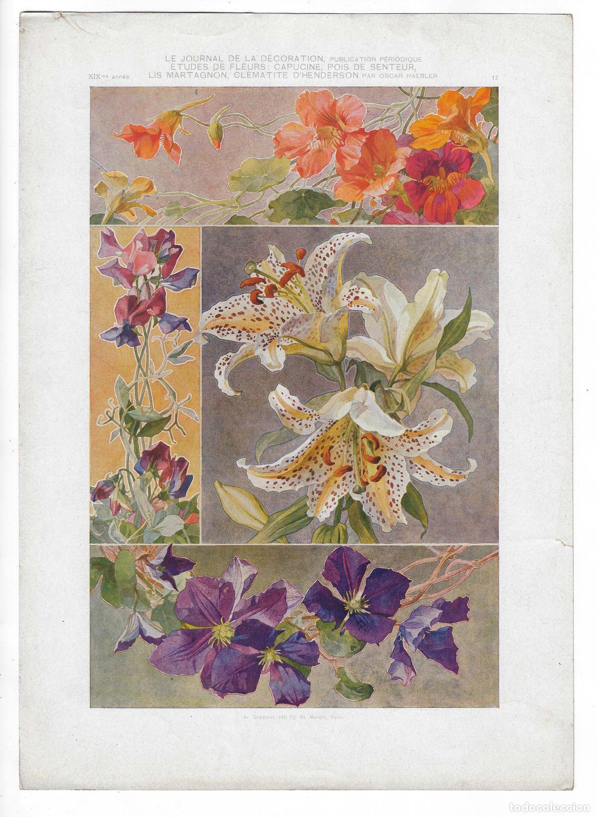 Art: JOURNAL DE LA DECORATION A&Ntilde;O XIX L&Aacute;M. 12. ETUDE DE FLEURS... (Oscar Haebler). CROMOLITOGRAF&Iacute;A 63x46