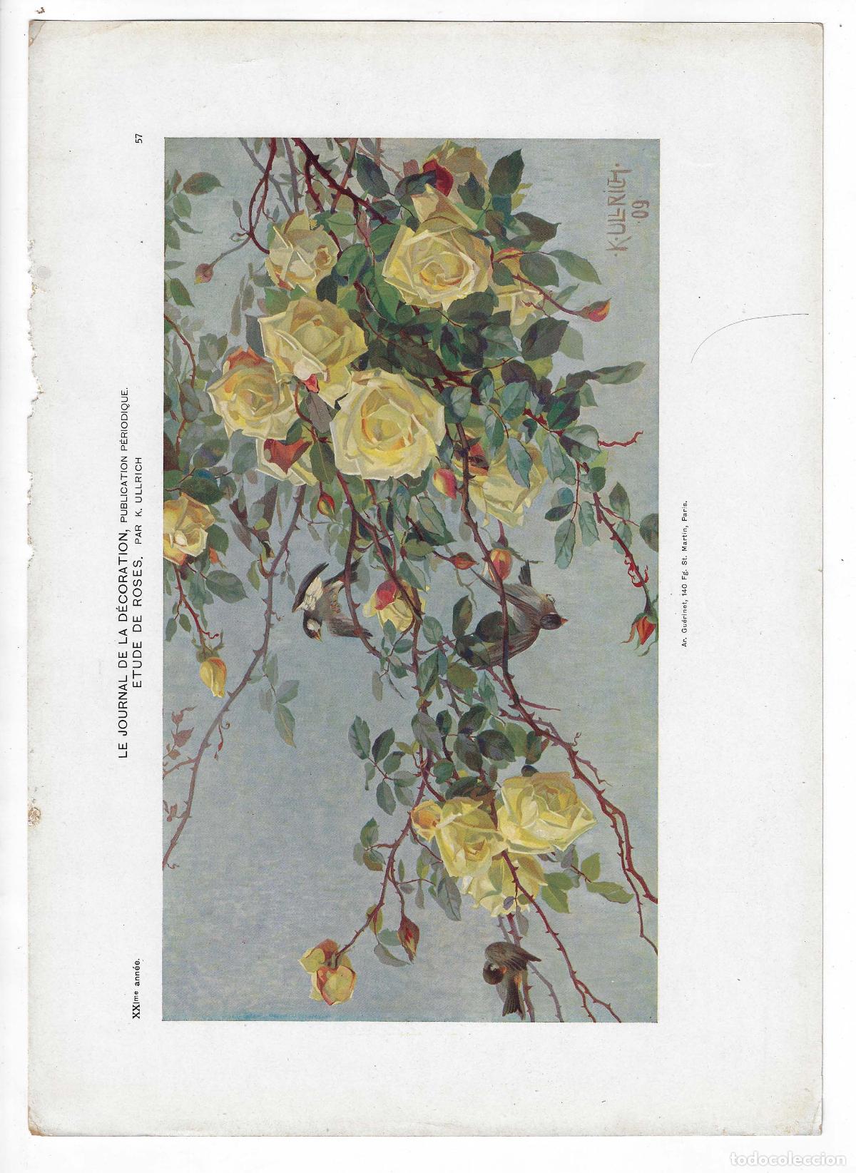 Art: JOURNAL DE LA DECORATION A&Ntilde;O XXI L&Aacute;M. 57. &Eacute;TUDE DE ROSES (K. Ullrich). CROMOLITOGRAF&Iacute;A 63x46