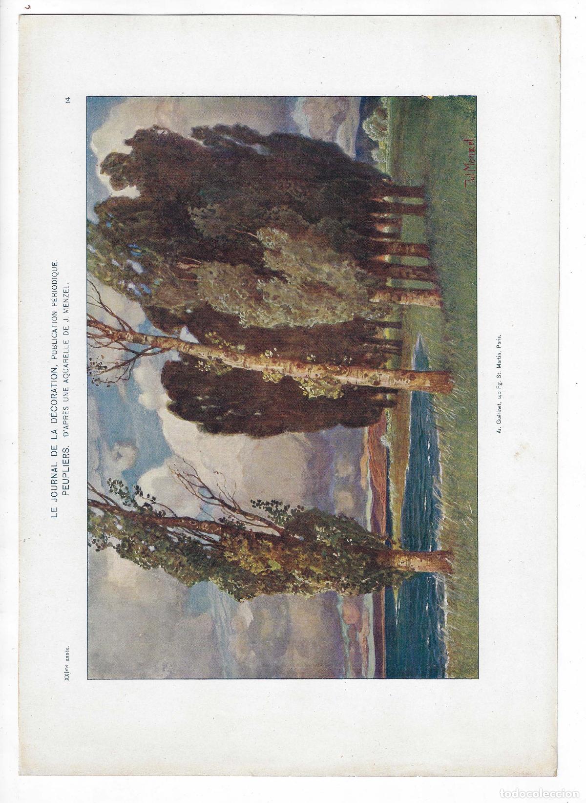 Art: JOURNAL DE LA DECORATION A&Ntilde;O XXI L&Aacute;M. 14. PEUPLIERS (J. Menzel) Circa 1907. CROMOLITOGRAF&Iacute;A 63x46