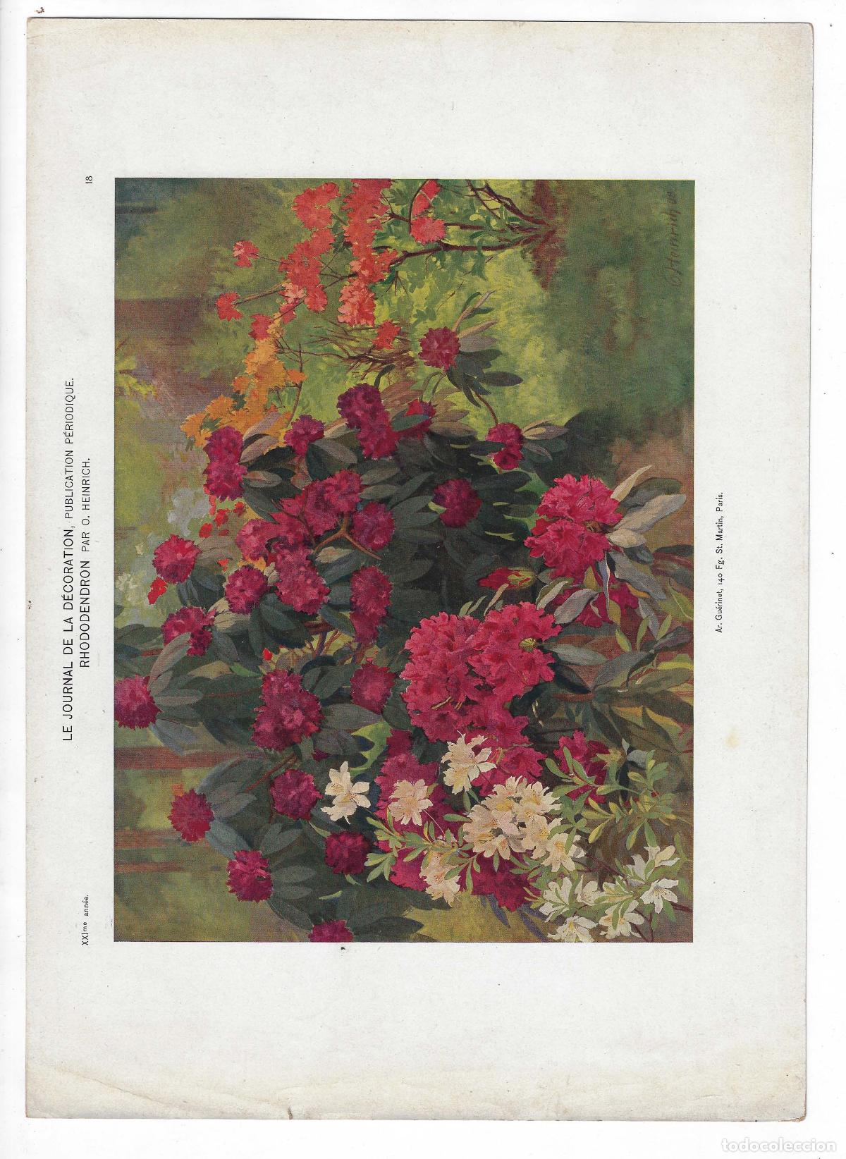 Art: JOURNAL DE LA DECORATION A&Ntilde;O XXI L&Aacute;M. 18. RHODODENDRON (O. Heinrich). CROMOLITOGRAF&Iacute;A 63x46