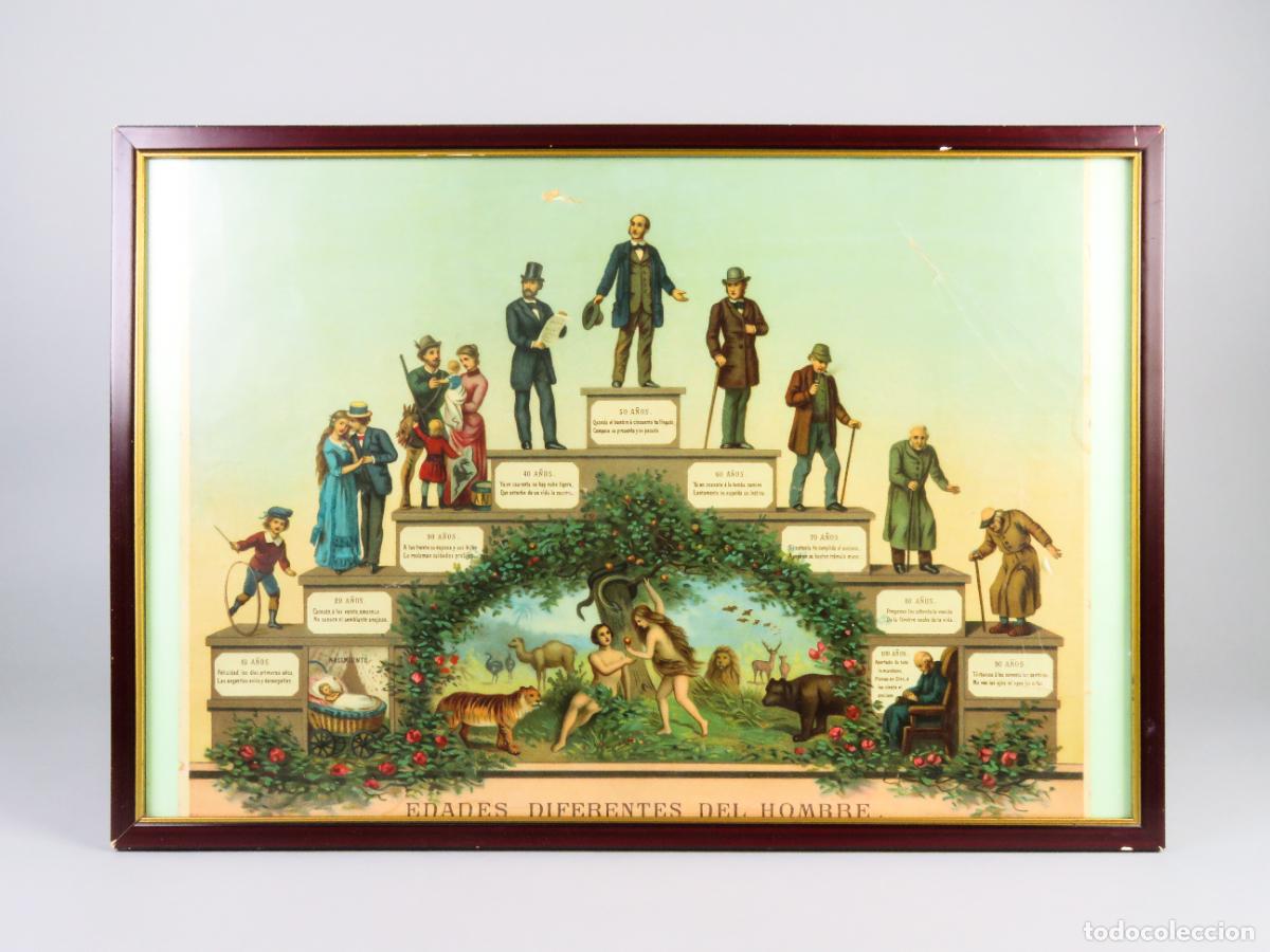 Arte: L&aacute;mina Cromolitograf&iacute;a Edades diferentes del hombre Seiber S XIX