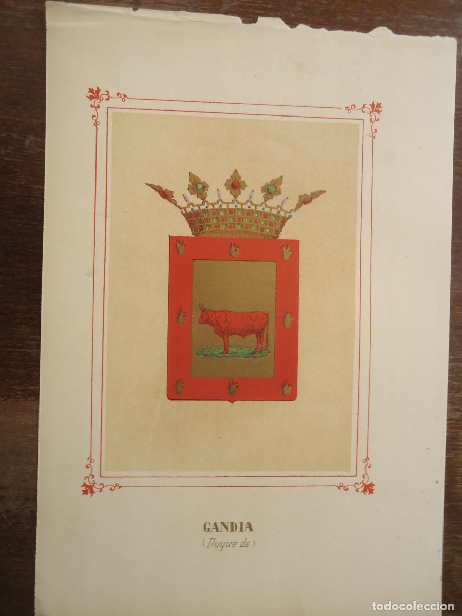 Arte: CROMOLITOGRAFIA DEL ESCUDO HERALDICO DEL DUQUE DE GANDIA. 1853-60