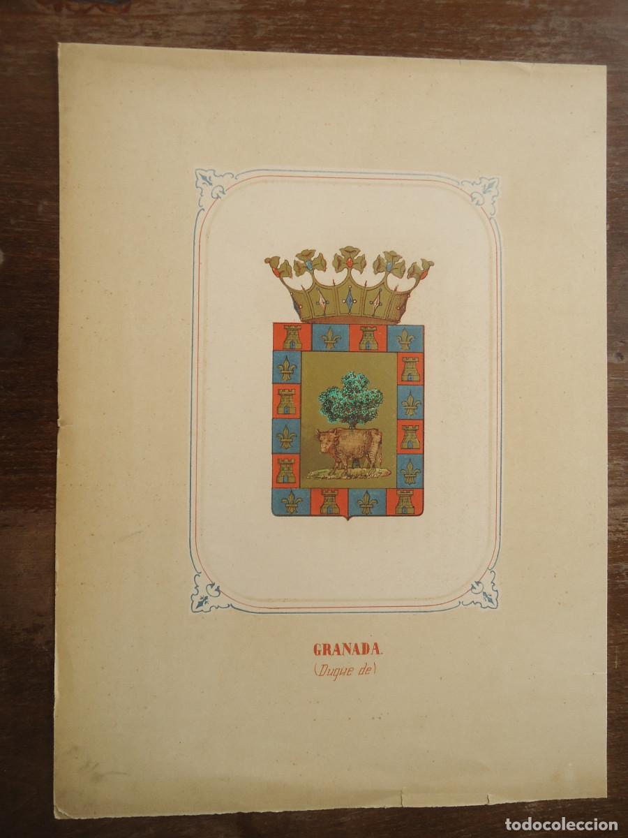 Arte: CROMOLITOGRAFIA DEL ESCUDO HERALDICO DEL DUQUE DE GRANADA. 1853-60