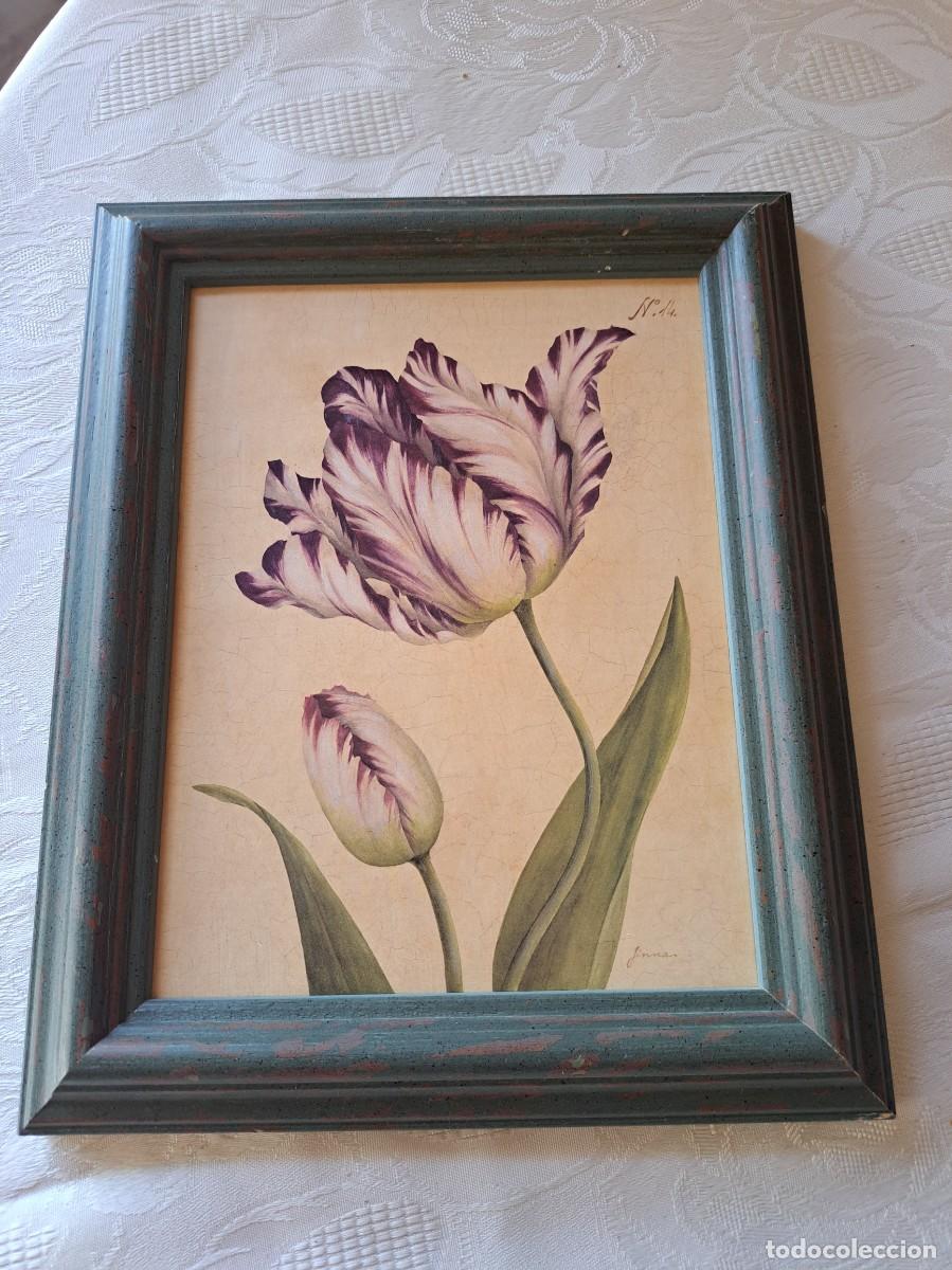 Art: Impresi&oacute;n de edici&oacute;n limitada titulada &rdquo;Tulipa Rosea&rdquo; por la artista Jinna McHugh.N&ordm; 14