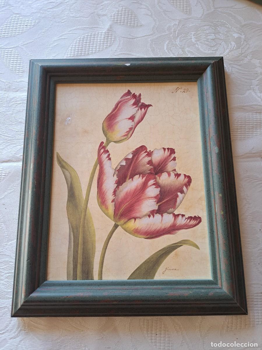 Art: Impresi&oacute;n de edici&oacute;n limitada titulada &rdquo;Tulipa Rosea&rdquo; por la artista Jinna McHugh.N&ordm; 29