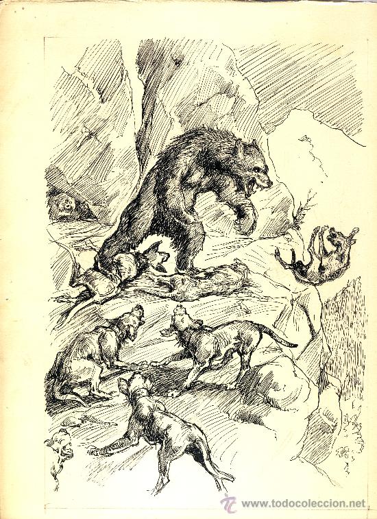 Arte: El rey de los osos - Foto 1
