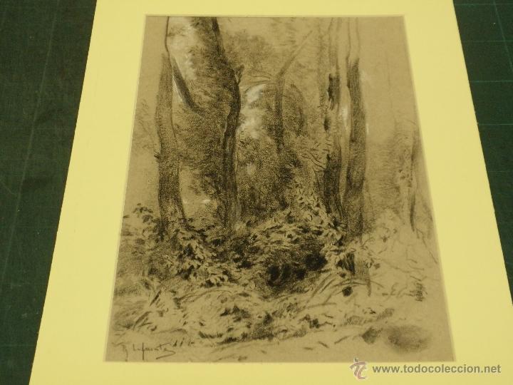 Arte: RAMIRO LAFUENTE. ARBOLES - Foto 1
