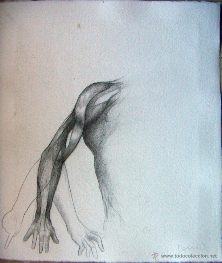 Arte: Dibujo de Dami&aacute; Diaz - Foto 1
