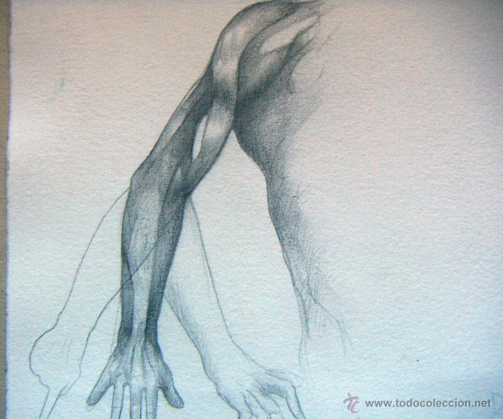 Arte: Dibujo de Dami&aacute; Diaz - Foto 2