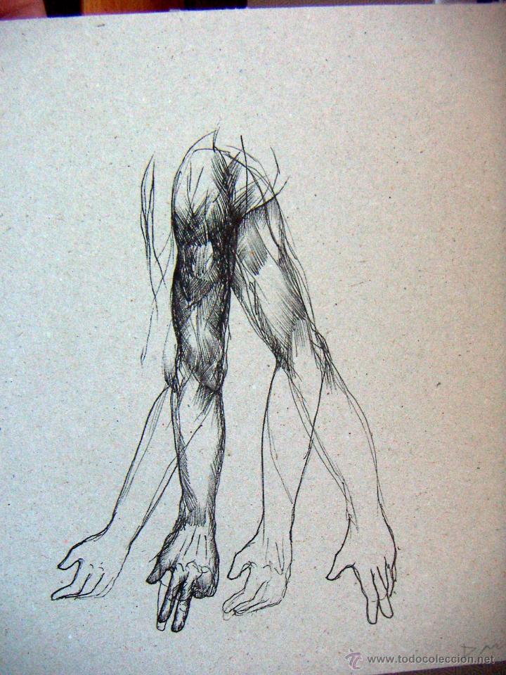 Arte: Dibujo de Dami&aacute; Diaz - Foto 1