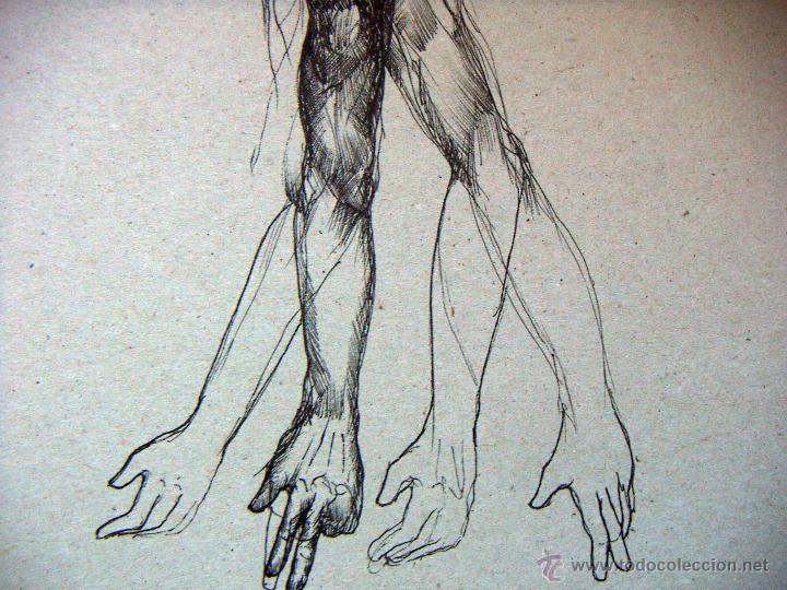 Arte: Dibujo de Dami&aacute; Diaz - Foto 2