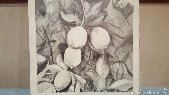 Arte: Dibujo a lapiz, e. Requena, limonero - Foto 1