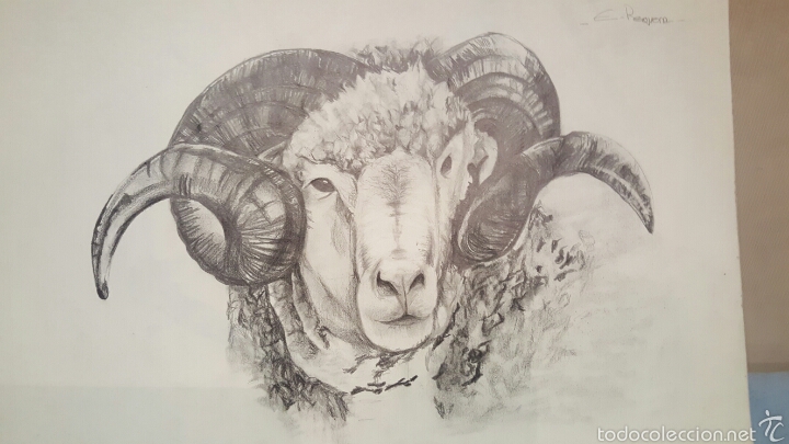 Arte: Dibujo a lapiz, e.requena - Foto 1