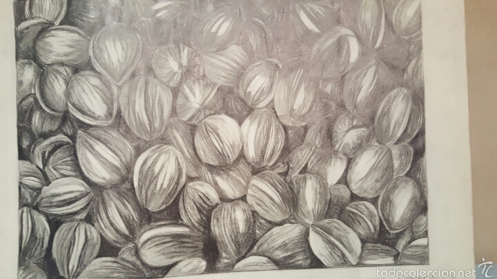 Arte: Dibujo a lapiz, nueces, e.requena - Foto 1