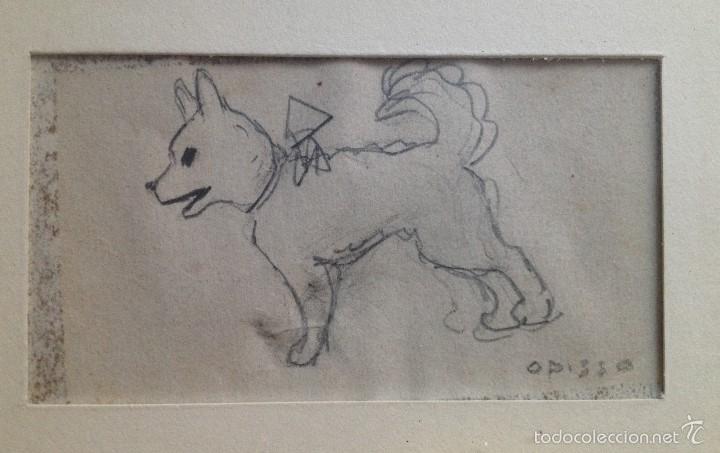 Arte: dibujo a lapiz perrito Opisso - Foto 1