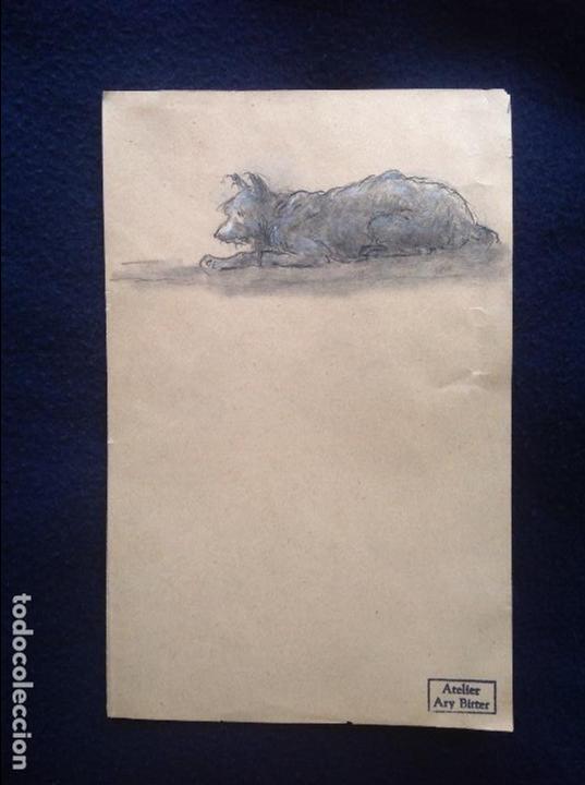 Arte: Ary Bitter. Perro acostado. - Foto 1