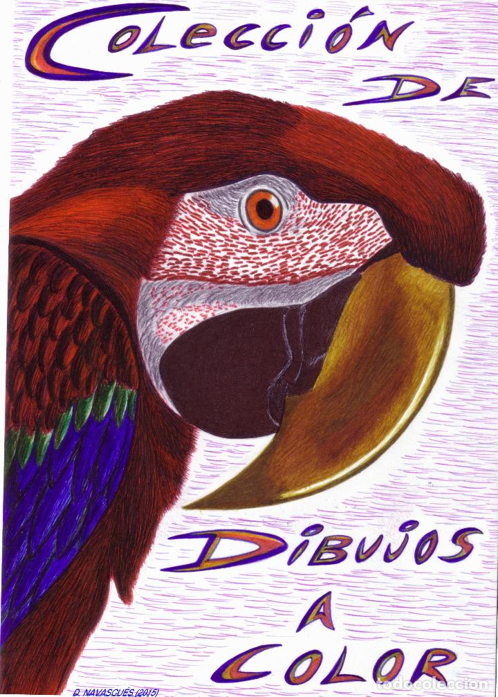 dibujo hiperrealista (ave). * cabeza de papagay - Buy Contemporary drawings  of the XX century on todocoleccion
