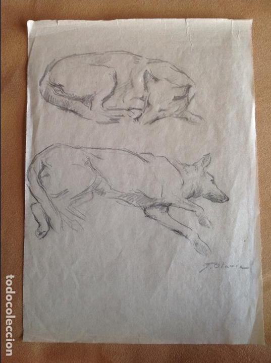 Arte: Federico Olaria. Estudi&oacute; de perros. - Foto 1