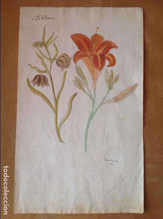 Arte: Moucheron. La flitilaria. - Foto 1