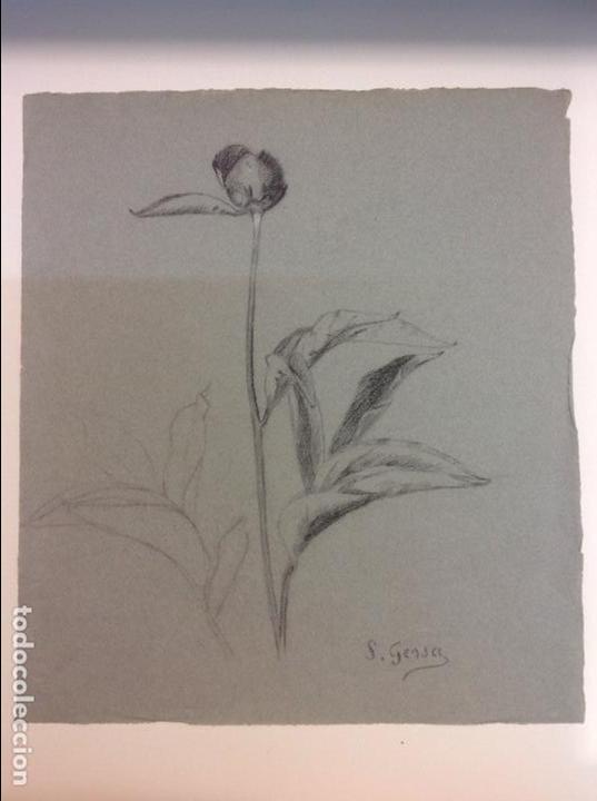 Arte: Sebasti&aacute;n Gessa. Flor. - Foto 1