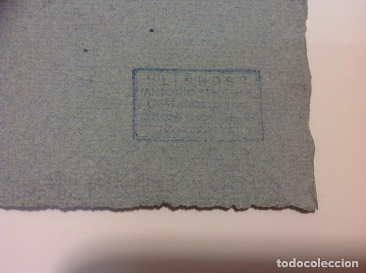 Arte: Sebasti&aacute;n Gessa. Flor. - Foto 3