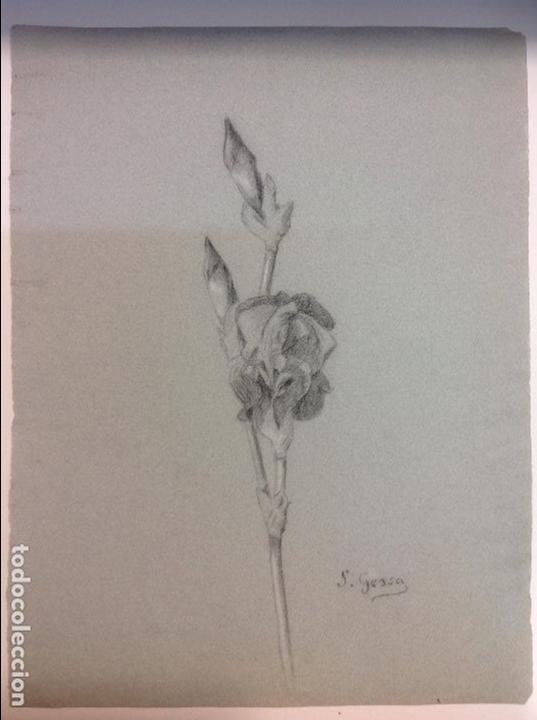 Arte: Sebasti&aacute;n Gessa. Flor. - Foto 1