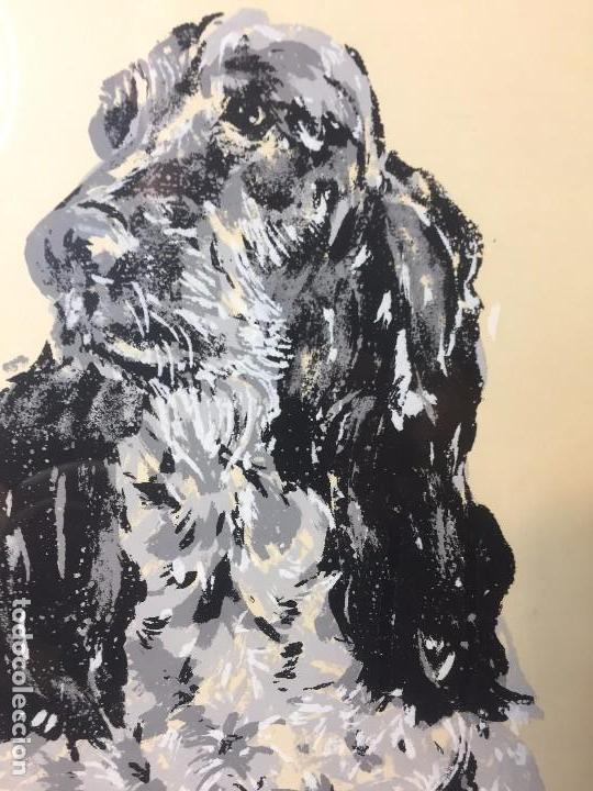 Gouache Perro Cocker Spaniel Ingles Negro Blanc Verkauft In