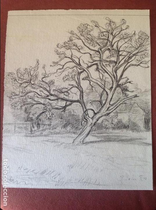 Arte: Ricardo de los R&iacute;os. &Aacute;rbol. - Foto 1