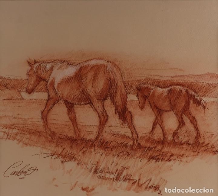 Arte: Sanguina sobre papel caballos firma ilegible tercer tercio siglo XX