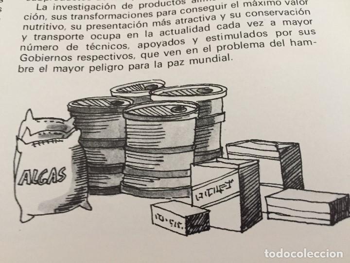Arte: Dibujo de Boada para Libro de Cocina.1971 - Foto 2