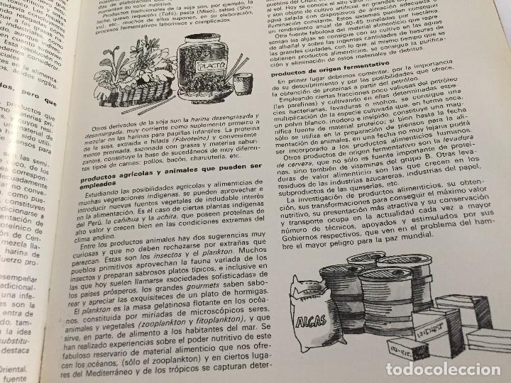 Arte: Dibujo de Boada para Libro de Cocina.1971 - Foto 3
