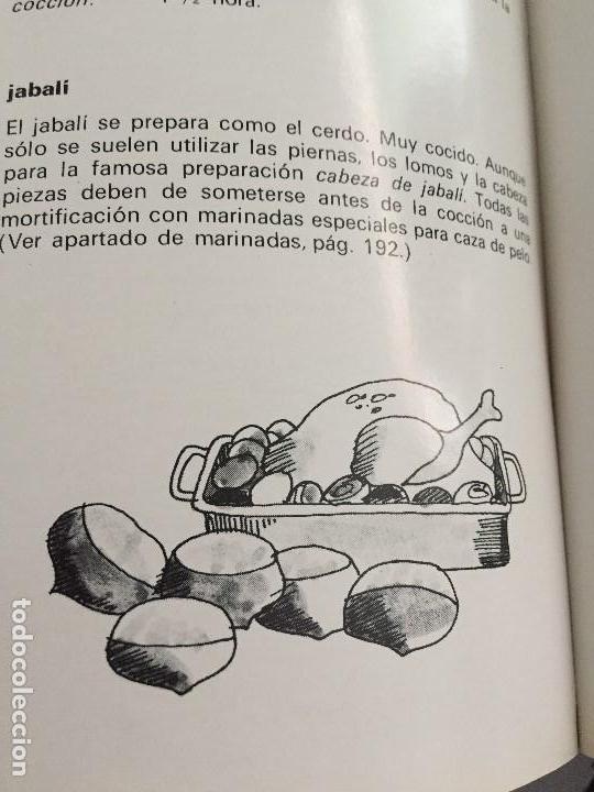 Arte: Pollo con casta&ntilde;as. Dibujo de Boada para Libro de Cocina.1971 - Foto 2