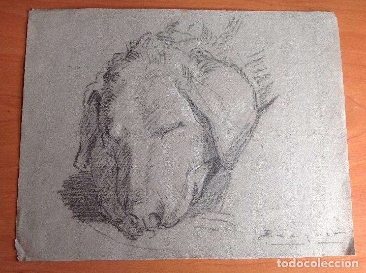 Arte: Carlos Becquer. Cabeza de perro. - Foto 1