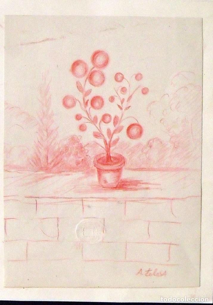 Arte: Aureli Tolosa (1868-1938). Dibujo en lápiz de color. Tiesto con flores. Firmado a mano. Finales XIX. - Foto 2 - 133018630