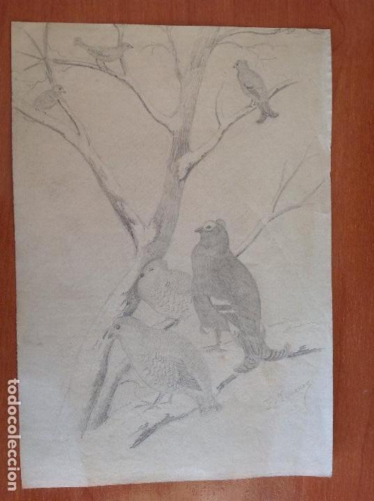 Arte: Federico Jim&eacute;nez. Perdices. - Foto 1