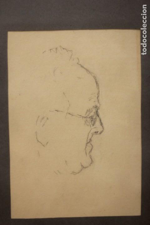 Arte: Anónimo. Antiguo dibujo a lapiz, perfil masculino, estudio de cabeza. Enmarcado. 34x44cm - Foto 3 - 135833938