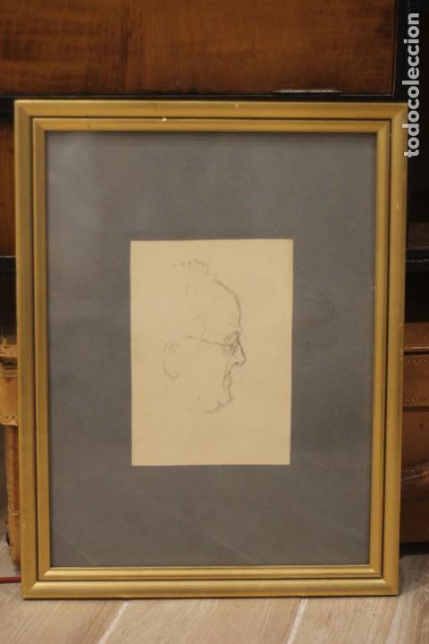 Arte: Anónimo. Antiguo dibujo a lapiz, perfil masculino, estudio de cabeza. Enmarcado. 34x44cm - Foto 2 - 135833938