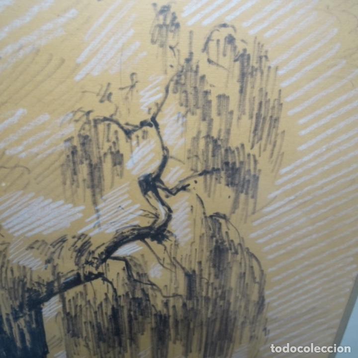 Arte: Dibujo de salaplanas. - Foto 4