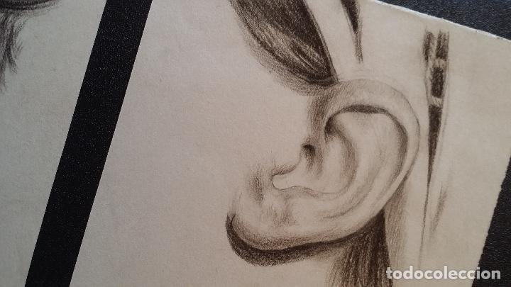 Arte: 3 Dibujos anat&oacute;micos del siglo XIX - Foto 5