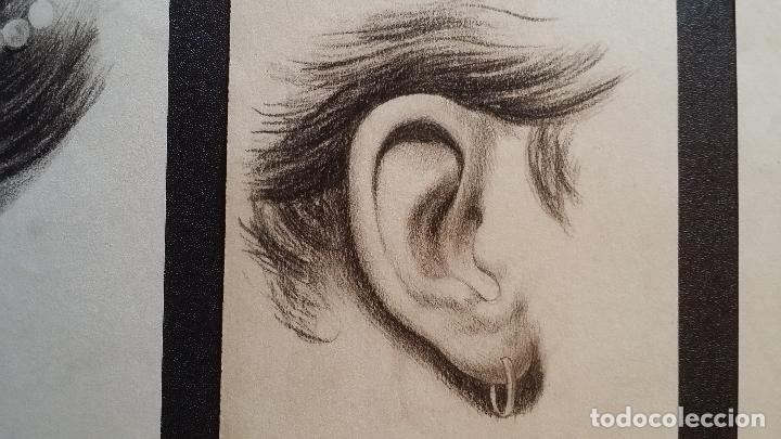 Arte: 3 Dibujos anat&oacute;micos del siglo XIX - Foto 6